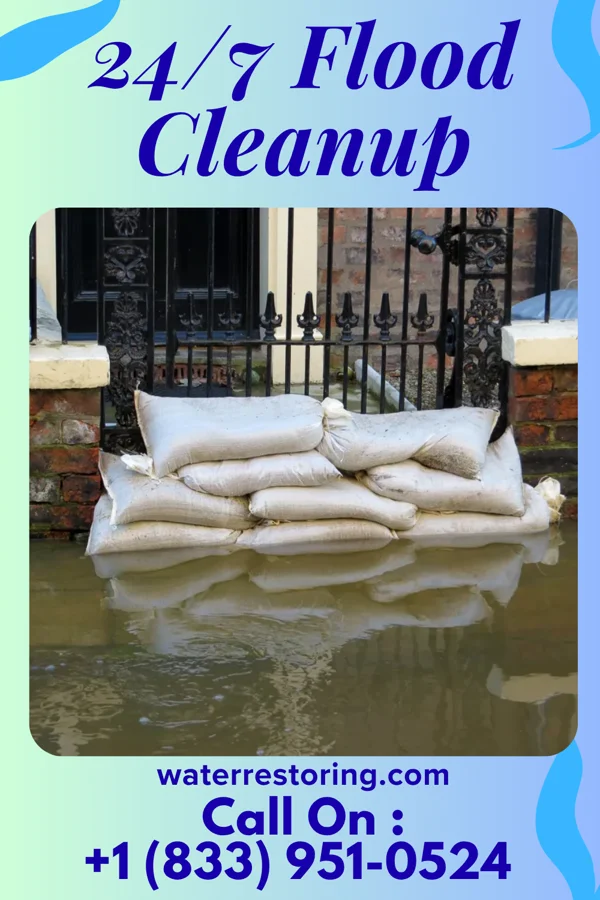24/7 Flood Cleanup in Washingtonville, OH