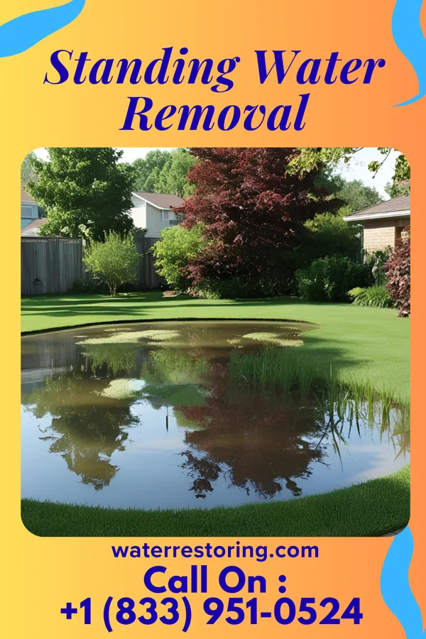 Standing Water Removal in Washingtonville, OH